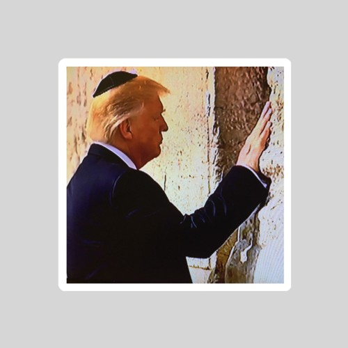 Trump Goy Bumper Sticker